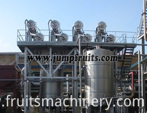 Full-automatic capactity 500kg-10t/h coconut juice / milk processing plant
